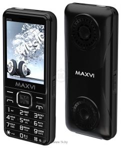 MAXVI P110