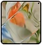 Google Pixel 9 Pro Fold 16/512GB