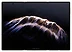 Huawei Mate XTs Ultimate GRL-AL20 16/1024GB
