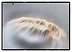 Huawei Mate XTs Ultimate GRL-AL20 16/1024GB