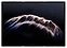 Huawei Mate XTs Ultimate GRL-AL20 16/512GB