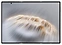 Huawei Mate XTs Ultimate GRL-AL20 16/512GB