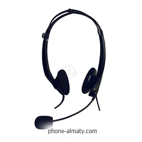 A4Tech HS-10