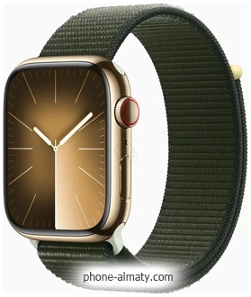 Apple Watch Series 9 45  ( ,  )