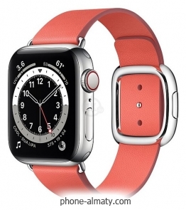 Apple Watch Series 6 GPS + Cellular 40mm Stainless Steel Case with Modern Buckle