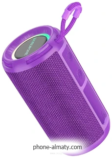 Borofone BR37