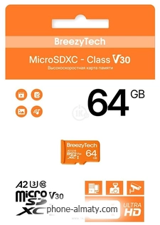 BreezyTech Ultra microSDXC Class 10/A2/V30 64GB ( )