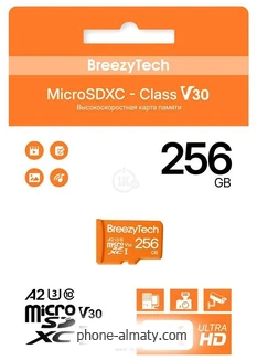 BreezyTech Ultra microSDXC Class 10/A2/V30 256GB ( )