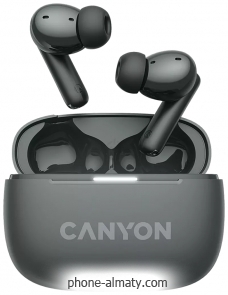 Canyon TWS-10