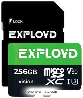 Exployd Vision microSDXC 256GB EX256GCSDXC10-U3-V30 ( )