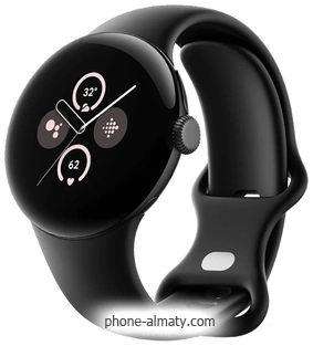 Google Pixel Watch 2 ( /,   )