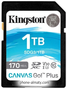 Kingston Canvas Go! Plus SDXC 1TB