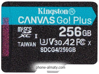 Kingston Canvas Go! microSDXC 256GB SDCG4/256GBSP