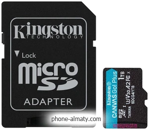 Kingston Canvas Go! microSDXC 1TB SDCG4/1TB ( )