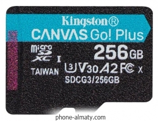 Kingston SDCG3/256GBSP