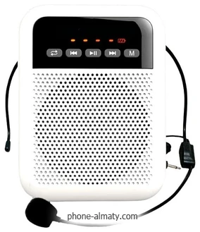 LAudio WS-VA030
