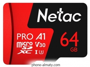 Netac NT02P500PRO-064G-S