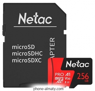 Netac NT02P500PRO-256G-R