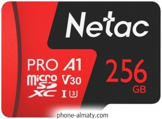 Netac NT02P500PRO-256G-S