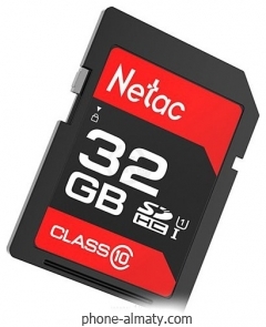 Netac NT02P600STN-032G-R