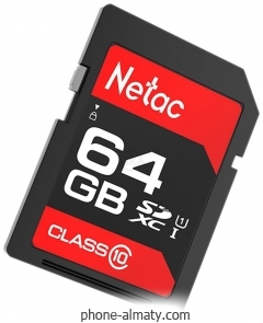 Netac NT02P600STN-064G-R