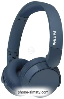 Philips TAH4209 ()