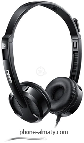 Rapoo H100