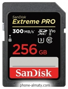 SanDisk Extreme PRO SDXC SDSDXDK-256G-GN4IN 256GB