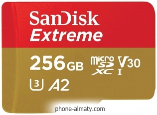 SanDisk Extreme microSDXC SDSQXAV-256G-GN6MN 256GB