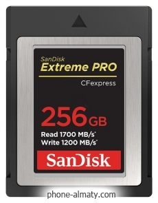 SanDisk SDCFE-256G-GN4NN