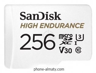 SanDisk SDSQQNR-256G-GN6IA