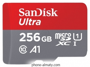 SanDisk SDSQUA4-256G-GN6MN