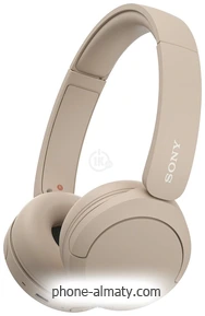 Sony WH-CH520 ()