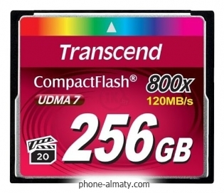 Transcend TS256GCF800