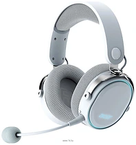 Acer OHR303 (�����)