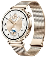 Huawei Watch GT 5 41mm (������������� �������)