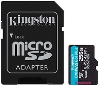 Kingston Canvas Go! microSDXC 256GB SDCG4/256GB (� ���������)