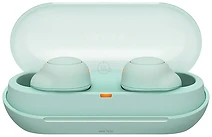 Sony WF-C500 (������)