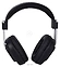 Alctron HE820