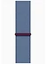Apple Watch Series 9 45  ( ,  )