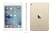 Apple iPad mini 4 128Gb Wi-Fi