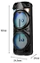 Blackton Bt PBS2116