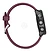 Garmin Forerunner 245