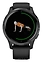 Garmin Venu