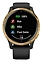Garmin Venu