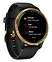 Garmin Venu