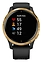 Garmin Venu