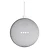 Google Home Mini