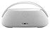 Harman/Kardon Go + Play 3