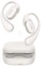 Huawei FreeArc